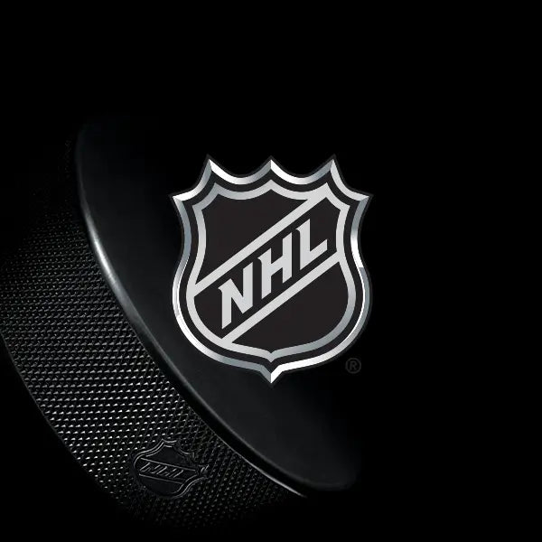 NHL sunglasses